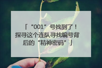 “001”号找到了！探寻这个连队寻找编号背后的“精神密码”