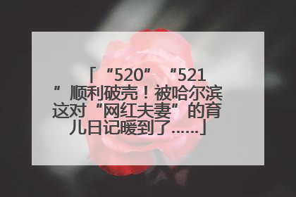 “520”“521”顺利破壳！被哈尔滨这对“网红夫妻”的育儿日记暖到了……
