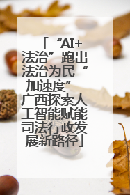 “AI+法治”跑出法治为民“加速度” 广西探索人工智能赋能司法行政发展新路径