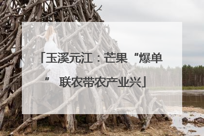 玉溪元江：芒果“爆单” 联农带农产业兴