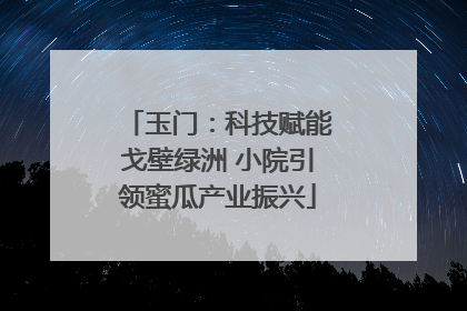 玉门：科技赋能戈壁绿洲 小院引领蜜瓜产业振兴
