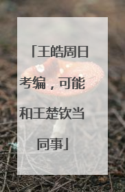 王皓周日考编，可能和王楚钦当同事