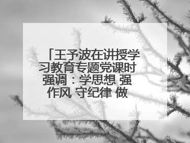 王予波在讲授学习教育专题党课时强调：学思想 强作风 守纪律 做忠诚干净担当的共产党员