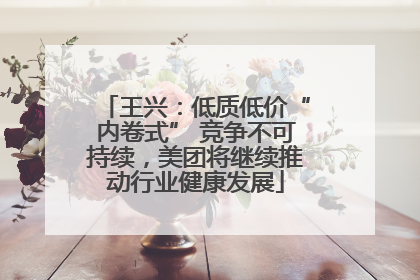 王兴：低质低价“内卷式” 竞争不可持续，美团将继续推动行业健康发展