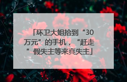 环卫大姐拾到“30万元”的手机，“赶走”假失主等来真失主