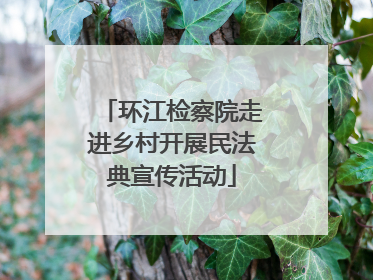 环江检察院走进乡村开展民法典宣传活动