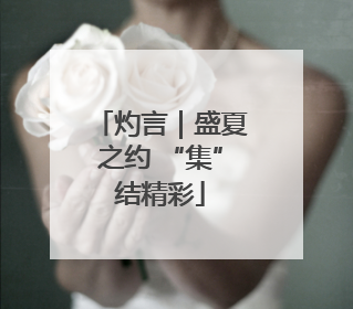 灼言｜盛夏之约 “集”结精彩