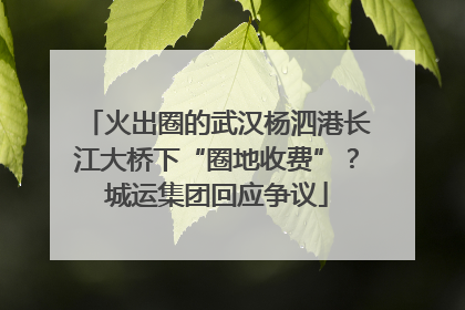 火出圈的武汉杨泗港长江大桥下“圈地收费”？城运集团回应争议