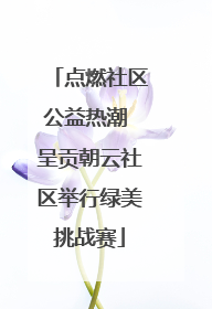 点燃社区公益热潮 呈贡朝云社区举行绿美挑战赛