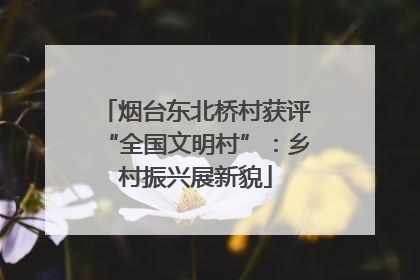烟台东北桥村获评“全国文明村”：乡村振兴展新貌