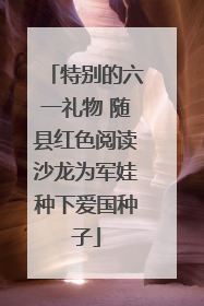 特别的六一礼物 随县红色阅读沙龙为军娃种下爱国种子