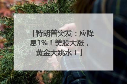 特朗普突发：应降息1%！美股大涨，黄金大跳水！
