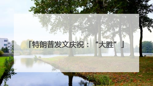 特朗普发文庆祝：“大胜”