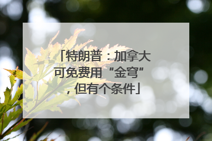 特朗普：加拿大可免费用“金穹”，但有个条件