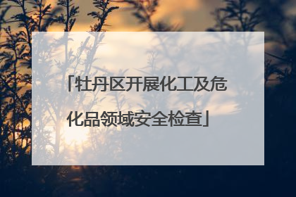 牡丹区开展化工及危化品领域安全检查