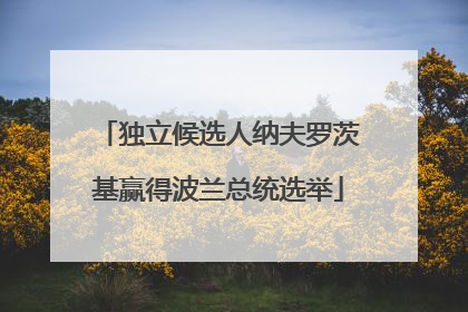 独立候选人纳夫罗茨基赢得波兰总统选举