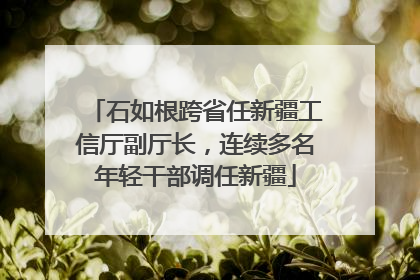 石如根跨省任新疆工信厅副厅长，连续多名年轻干部调任新疆