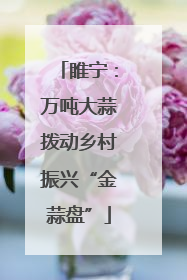 睢宁：万吨大蒜拨动乡村振兴“金蒜盘”