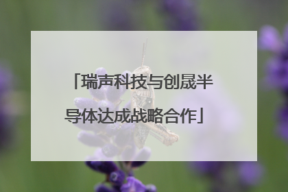 瑞声科技与创晟半导体达成战略合作