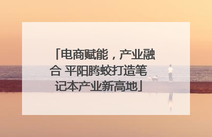 电商赋能，产业融合 平阳腾蛟打造笔记本产业新高地