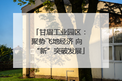 甘眉工业园区：聚势飞地经济 向“新”突破发展