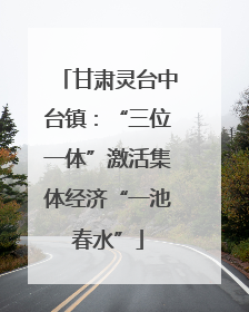 甘肃灵台中台镇：“三位一体”激活集体经济“一池春水”
