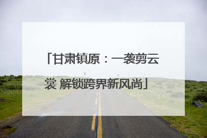 甘肃镇原：一袭剪云裳 解锁跨界新风尚