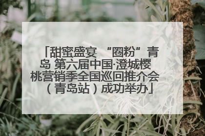 甜蜜盛宴 “圈粉”青岛 第六届中国·澄城樱桃营销季全国巡回推介会（青岛站）成功举办