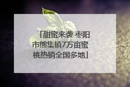 甜蜜来袭 枣阳市熊集镇7万亩蜜桃热销全国多地