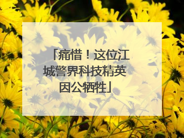 痛惜！这位江城警界科技精英因公牺牲