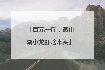 百元一斤，微山湖小龙虾啥来头
