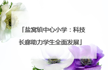 盐窝镇中心小学：科技长廊助力学生全面发展