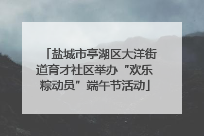 盐城市亭湖区大洋街道育才社区举办“欢乐粽动员”端午节活动
