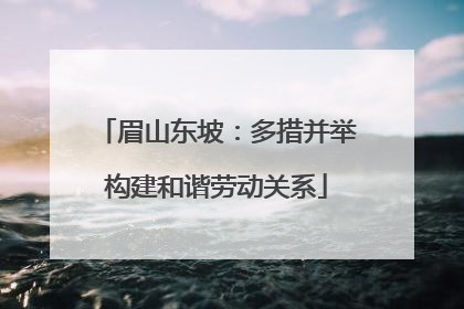 眉山东坡：多措并举构建和谐劳动关系