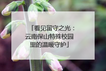 看见留守之光：云南保山特殊校园里的温暖守护