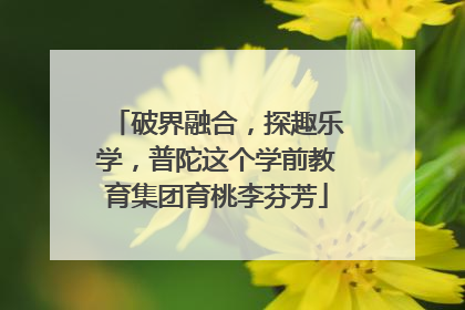 破界融合，探趣乐学，普陀这个学前教育集团育桃李芬芳