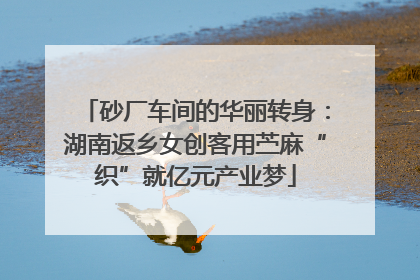 砂厂车间的华丽转身：湖南返乡女创客用苎麻“织”就亿元产业梦