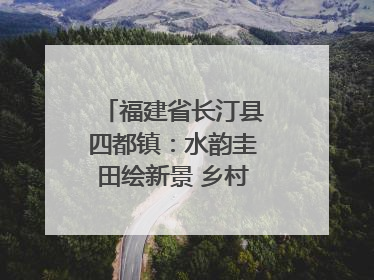福建省长汀县四都镇：水韵圭田绘新景 乡村振兴谱华章