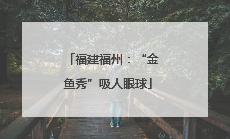 福建福州：“金鱼秀”吸人眼球