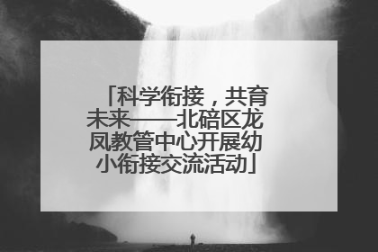 科学衔接，共育未来——北碚区龙凤教管中心开展幼小衔接交流活动