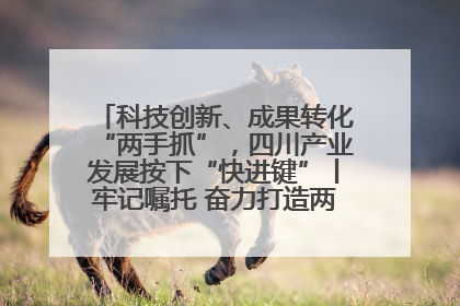 科技创新、成果转化“两手抓”，四川产业发展按下“快进键”丨牢记嘱托 奋力打造两高地两基地一屏障