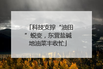 科技支撑“油田”蜕变，东营盐碱地油菜丰收忙