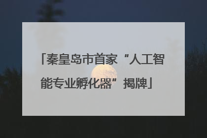 秦皇岛市首家“人工智能专业孵化器”揭牌