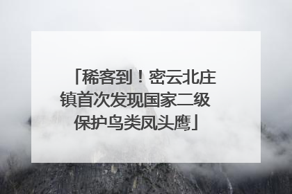 稀客到！密云北庄镇首次发现国家二级保护鸟类凤头鹰