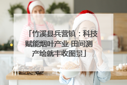 竹溪县兵营镇：科技赋能烟叶产业 田间测产绘就丰收图景