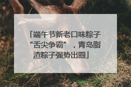 端午节新老口味粽子“舌尖争霸”，青岛脂渣粽子强势出圈