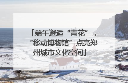 端午邂逅“青花”，“移动博物馆”点亮郑州城市文化空间