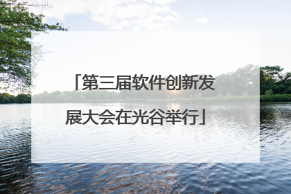 第三届软件创新发展大会在光谷举行