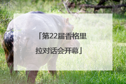 第22届香格里拉对话会开幕