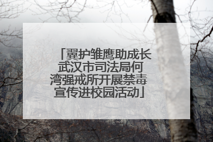 翼护雏鹰助成长 武汉市司法局何湾强戒所开展禁毒宣传进校园活动